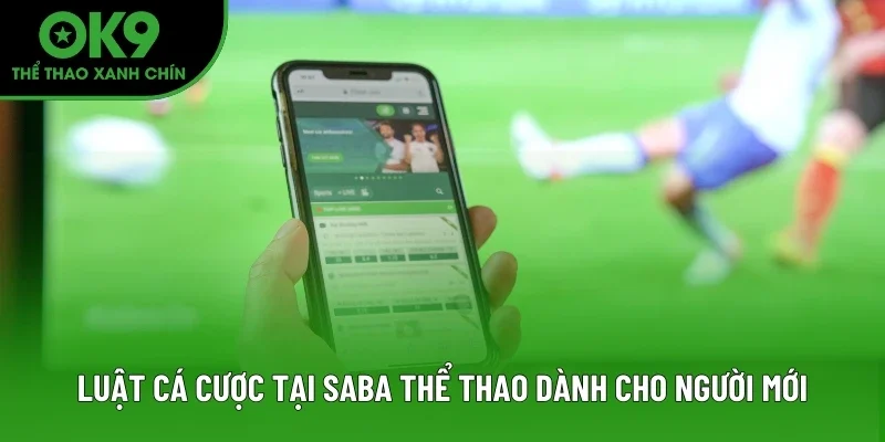 Luật cá cược tại SABA Thể Thao dành cho người mới Luật cá cược tại SABA Thể Thao dành cho người mới