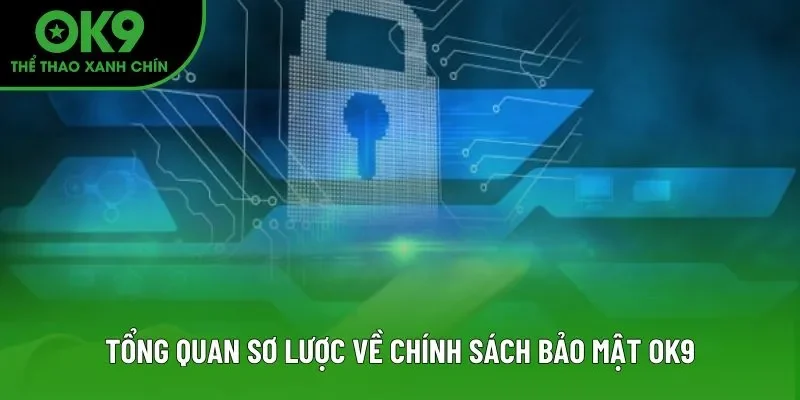 Tổng quan sơ lược về chính sách bảo mật OK9 Tổng quan sơ lược về chính sách bảo mật OK9