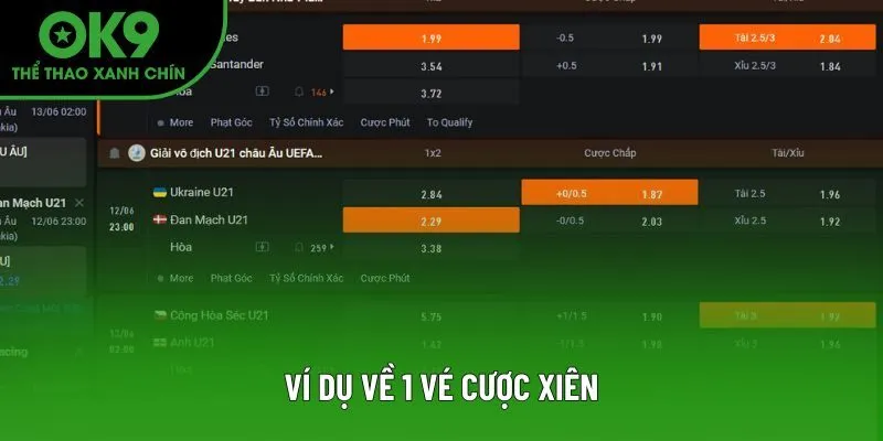 Ví dụ về một vé cược xiên OK9 điển hình Ví dụ về một vé cược xiên OK9 điển hình
